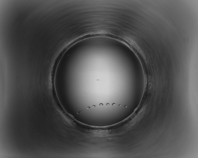 X0000088570789200705251117