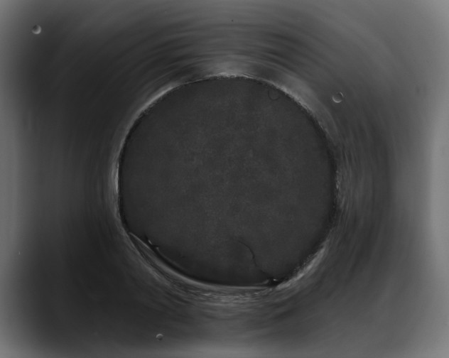 X0000088570790200705251117