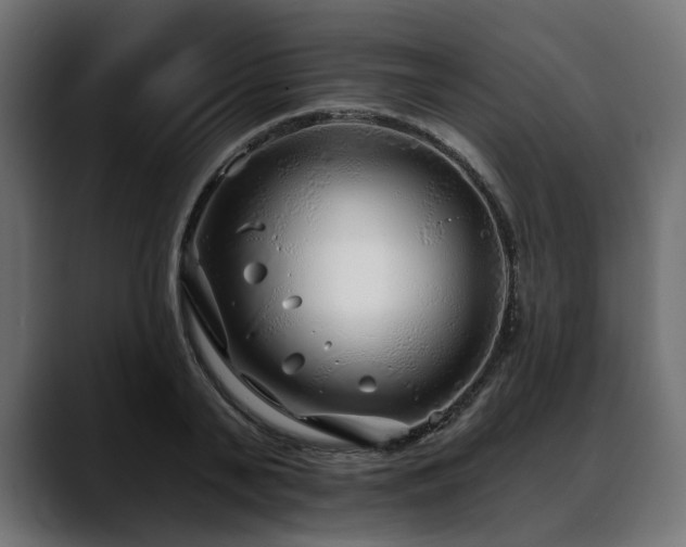 X0000088570791200705251117