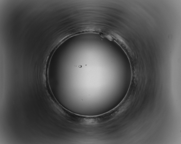 X0000088570794200705251117
