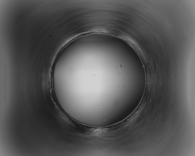 X0000088570808200705251116