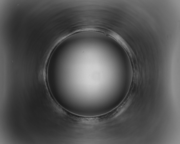 X0000088570813200705251116