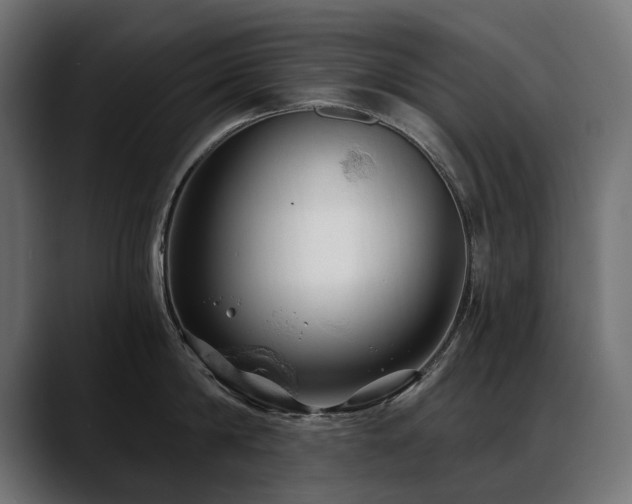 X0000088570814200705251116