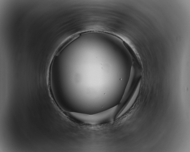 X0000088570815200705251116