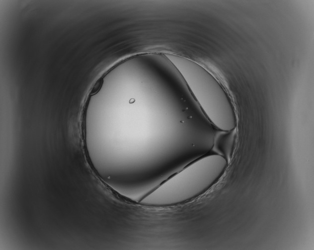X0000088570816200705251116