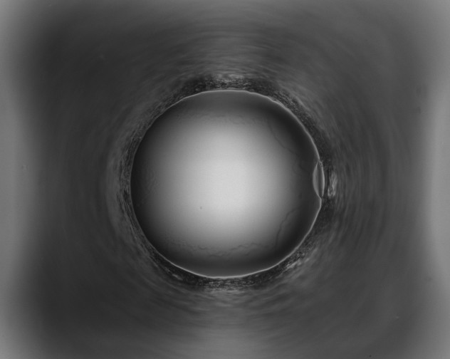 X0000088570817200705251116