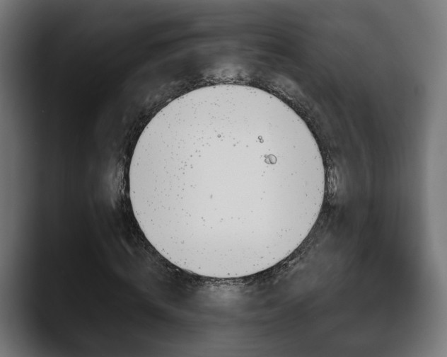 X0000088570820200705251116