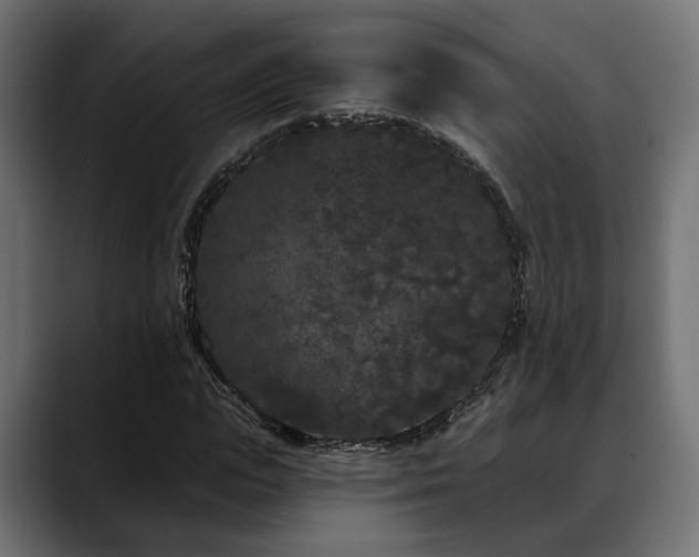 X0000088570823200705251116
