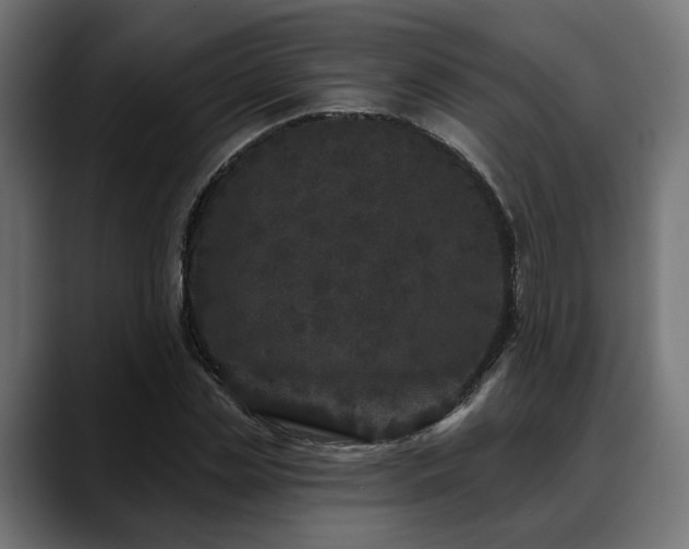 X0000088570829200705251116