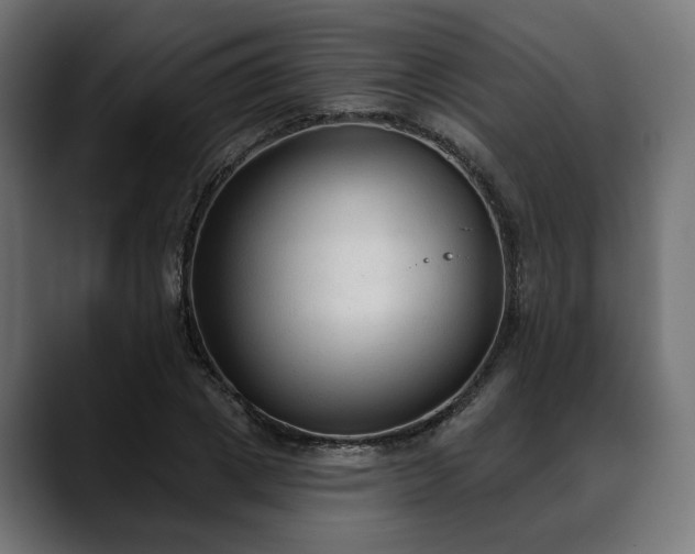 X0000088570833200705251116