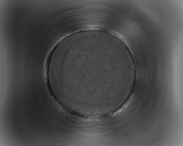 X0000088570835200705251116