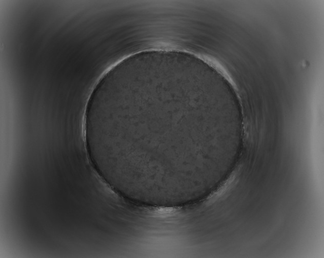 X0000088570839200705251116