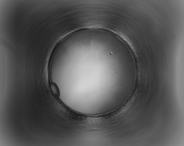 X0000088570840200705251116