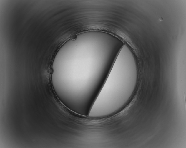 X0000088570841200705251116