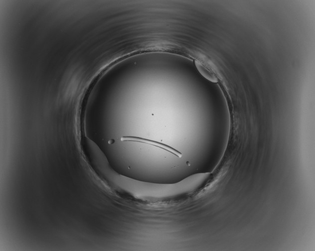 X0000088570843200705251116