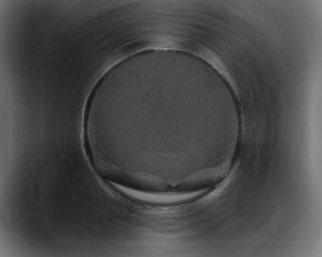 X0000088570845200705251116