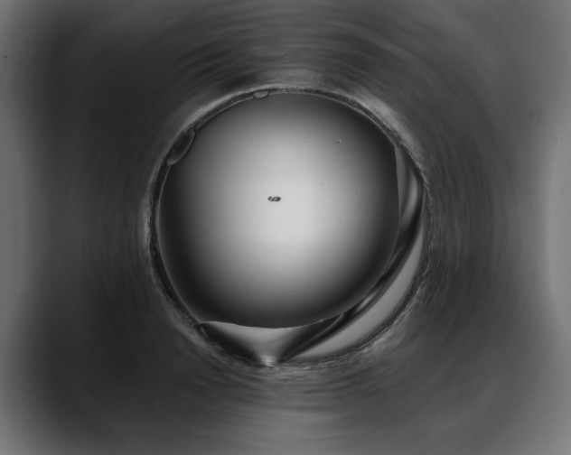 X0000088570846200705251116