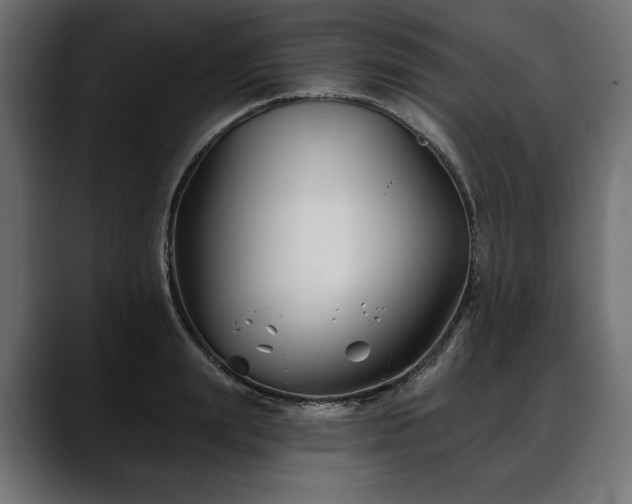 X0000088570847200705251116