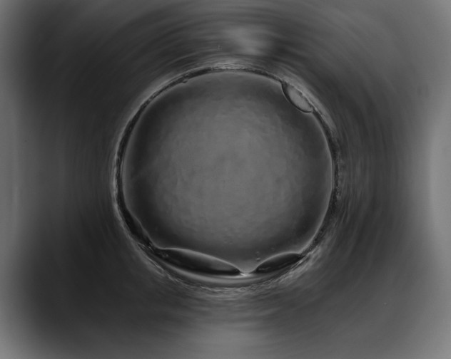 X0000088570853200705251116