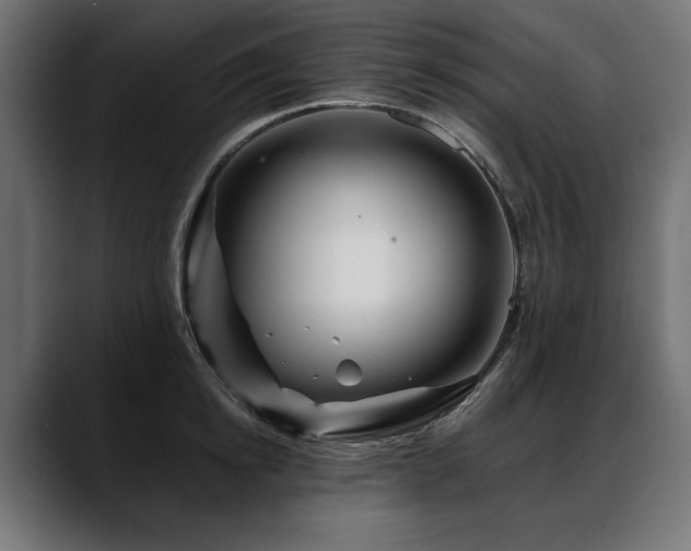 X0000088570854200705251116