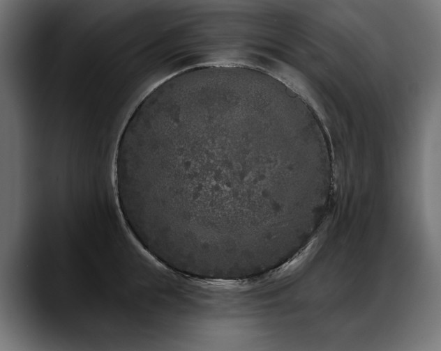 X0000088570855200705251116
