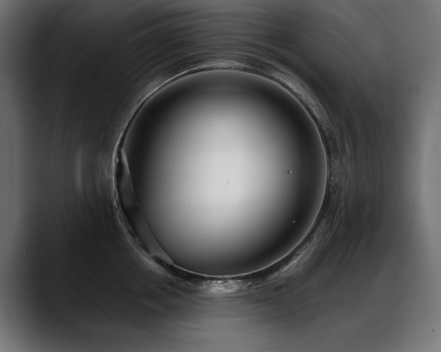 X0000088570858200705251116