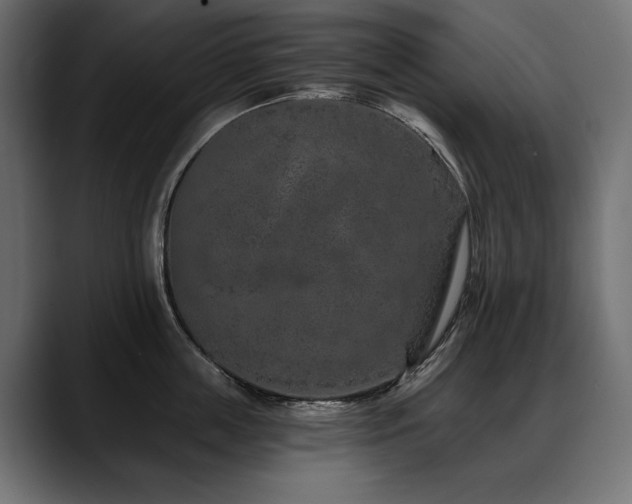 X0000088570859200705251116