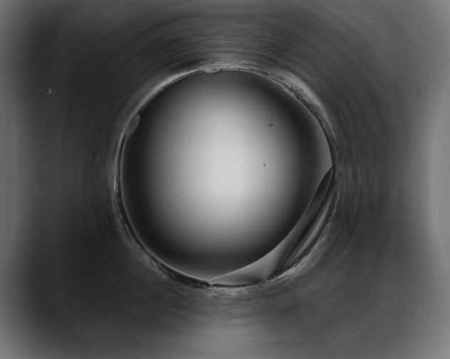 X0000088570860200705251116