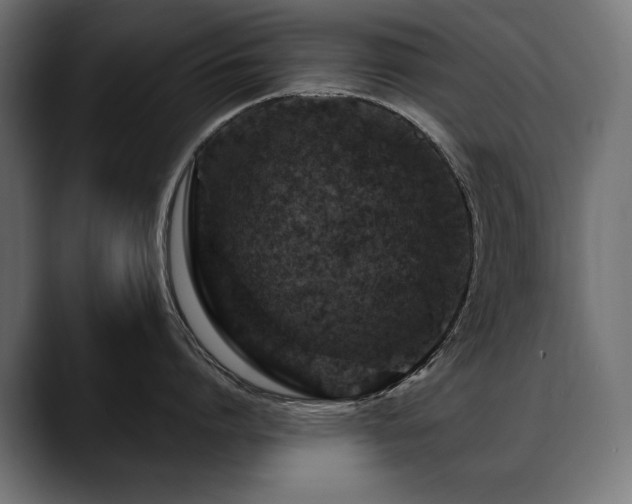 X0000088570864200705251116