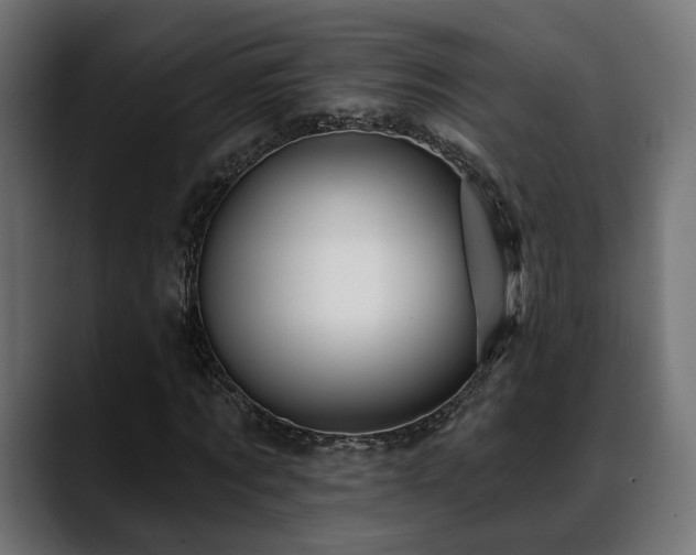 X0000088570869200705251116