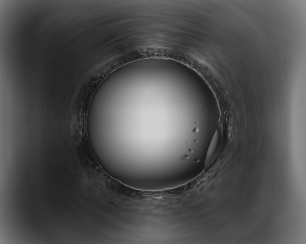 X0000088570870200705251116