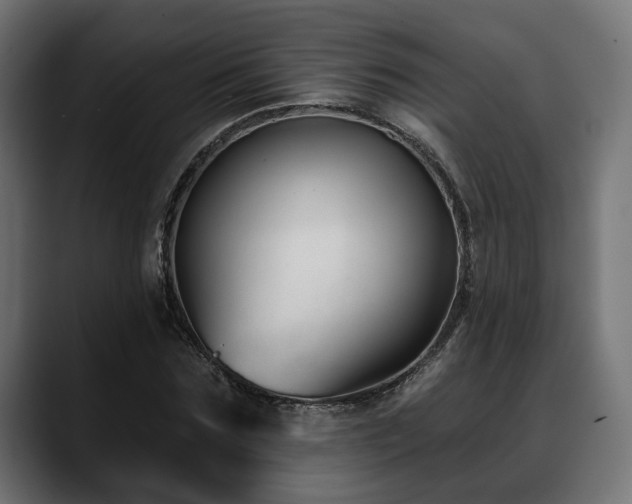 X0000088570875200705251115