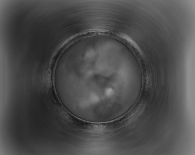 X0000088570878200705251115