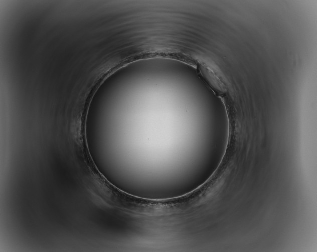 X0000088570881200705251115