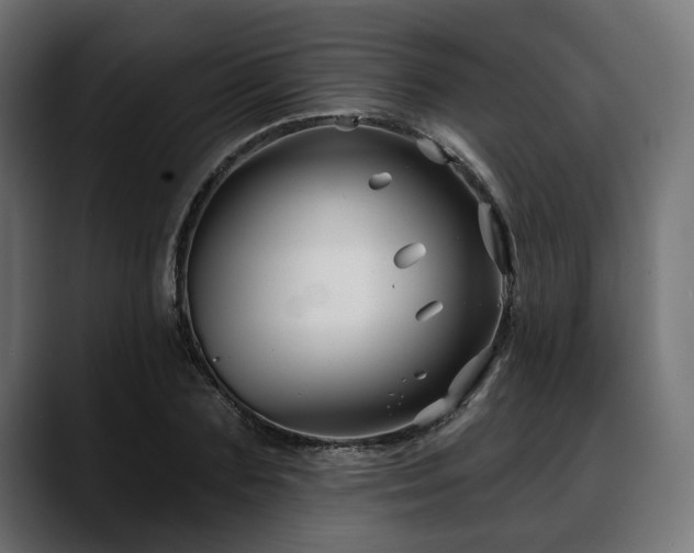X0000088570883200705251115