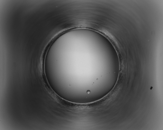 X0000088570886200705251115