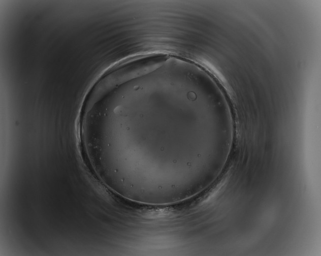 X0000088570891200705251115