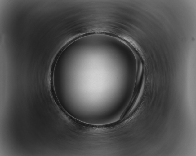 X0000088570894200705251115