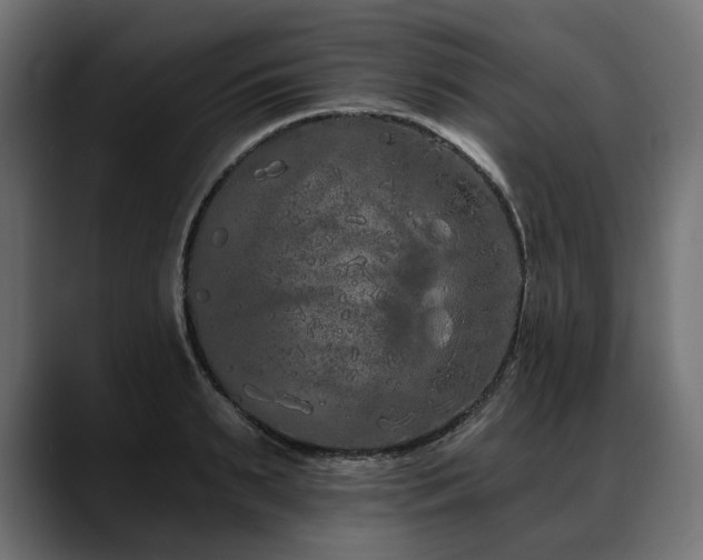 X0000088570895200705251115