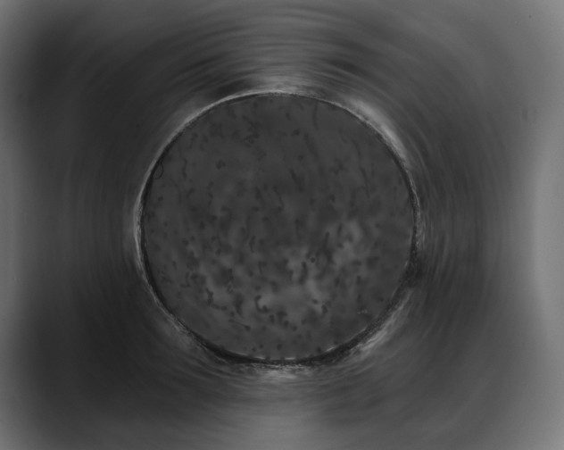 X0000088570899200705251115