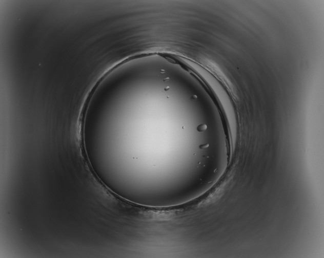 X0000088570900200705251115