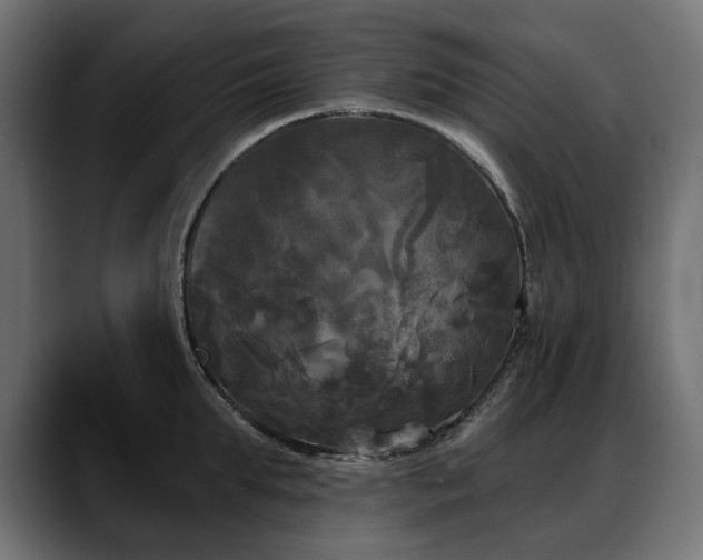 X0000088570903200705251115