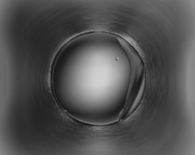 X0000088570904200705251115