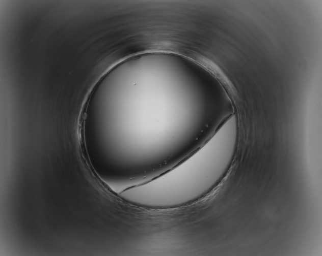 X0000088570908200705251115