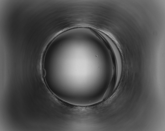 X0000088570910200705251115
