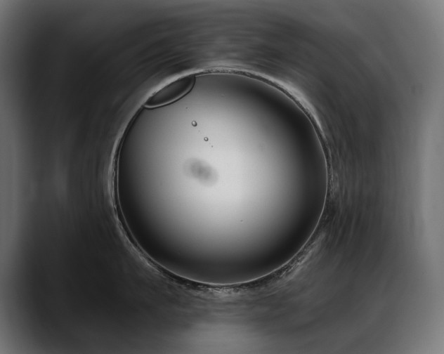 X0000088570911200705251115