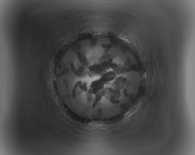 X0000088570913200705251114