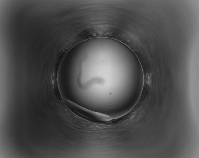 X0000088570915200705251114