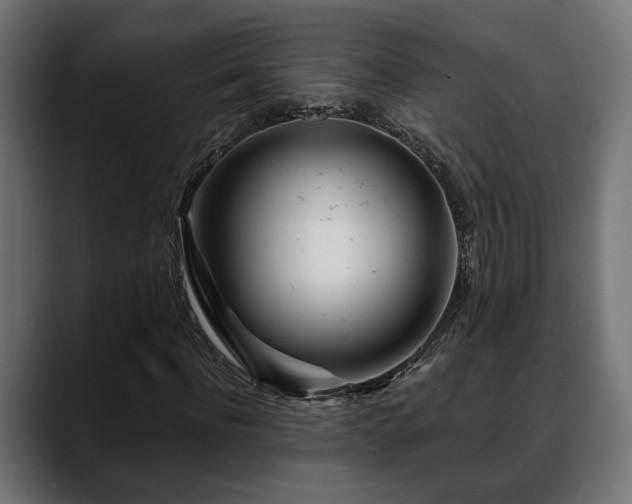 X0000088570916200705251114