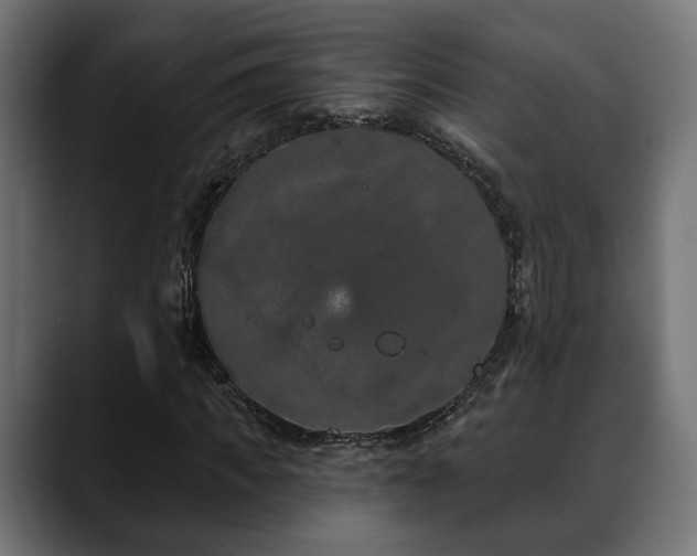 X0000088570917200705251114